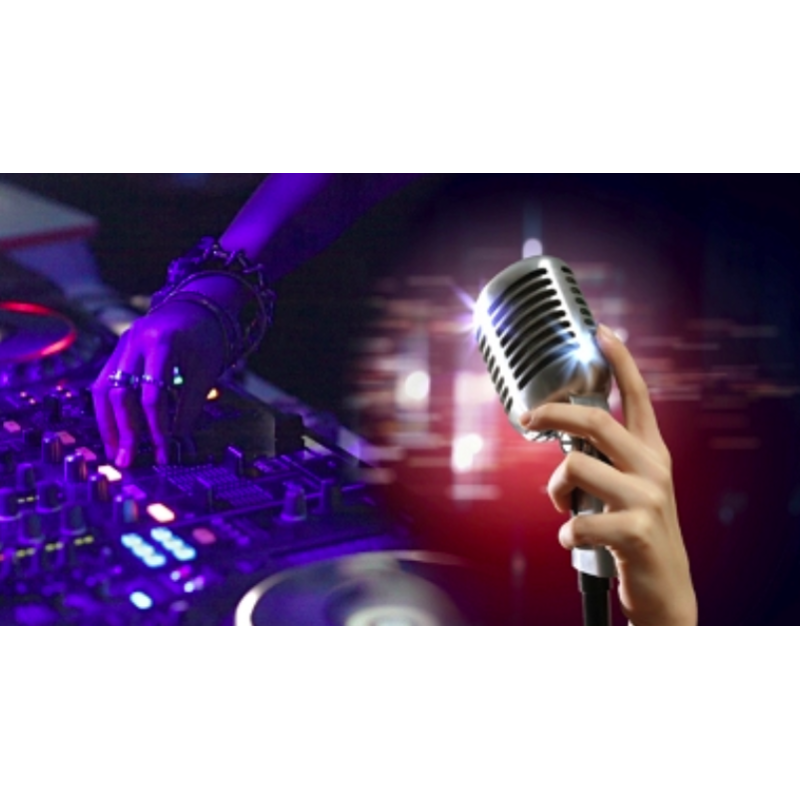 Karaoke DJ